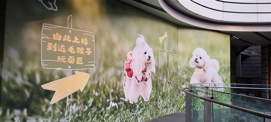 Pawsome City: Creating an Environment Where People, Pets Coexist in Harmony