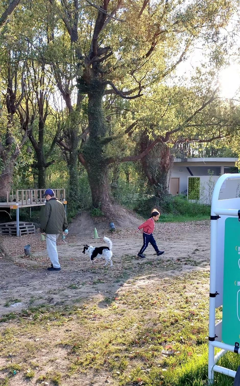 Pawsome City: Creating an Environment Where People, Pets Coexist in Harmony