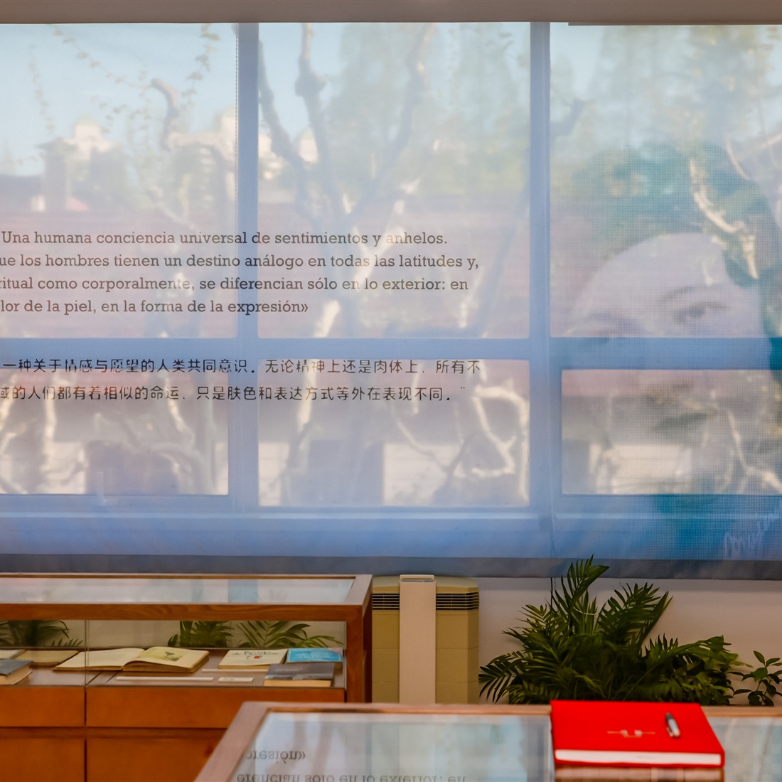 A Life Between Languages Finds a Home in Shanghai