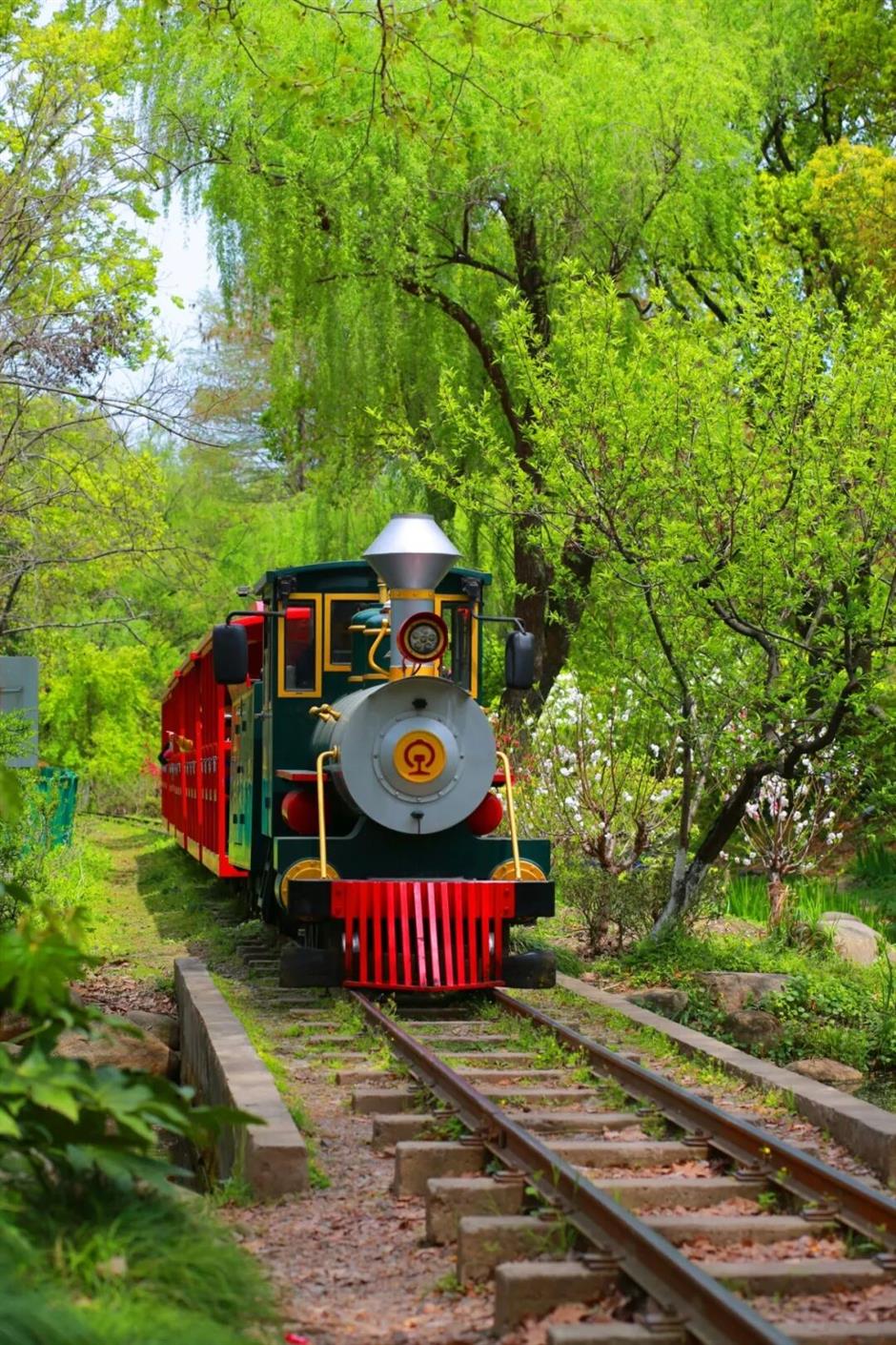 莫奈花园惊艳返场!30万株花海免费逛