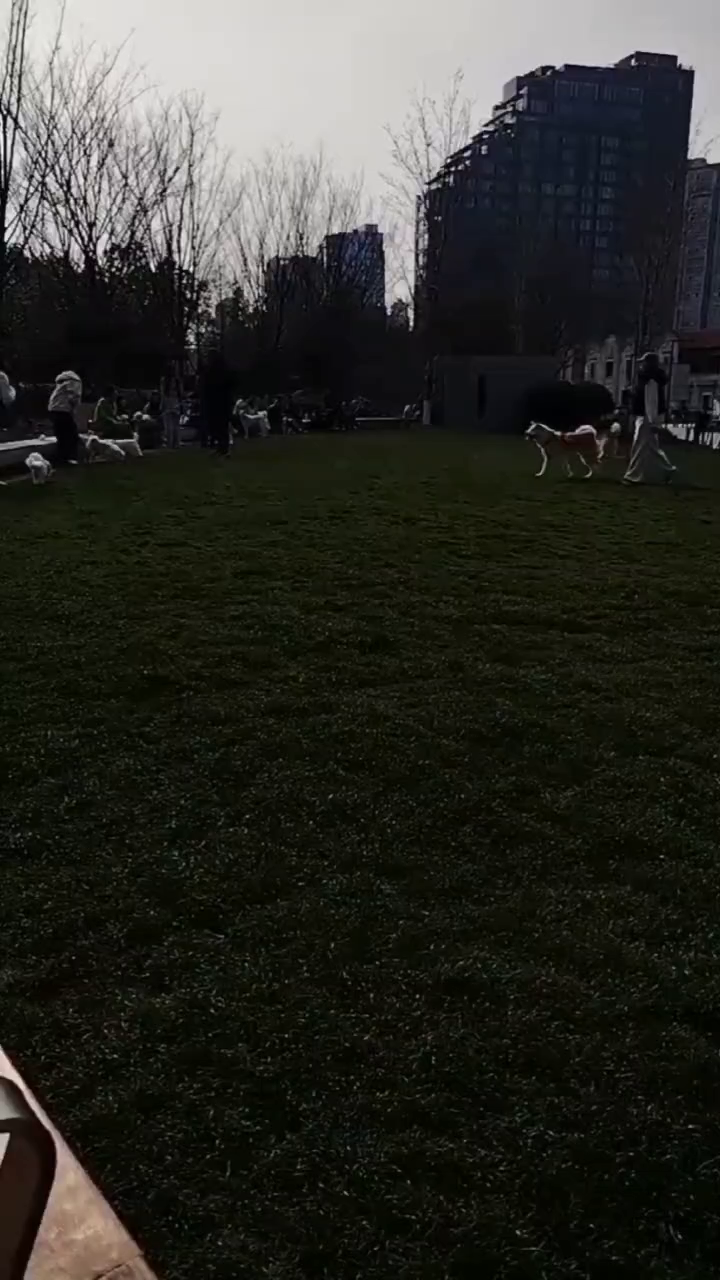 Pawsome City: Creating an Environment Where People, Pets Coexist in Harmony