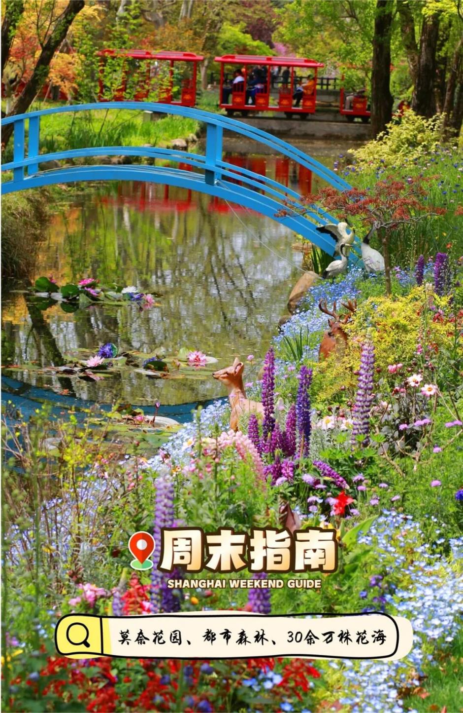 莫奈花园惊艳返场!30万株花海免费逛