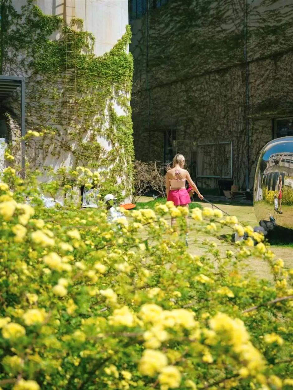 小黄花瀑布上线!免费打卡10万㎡艺术园区