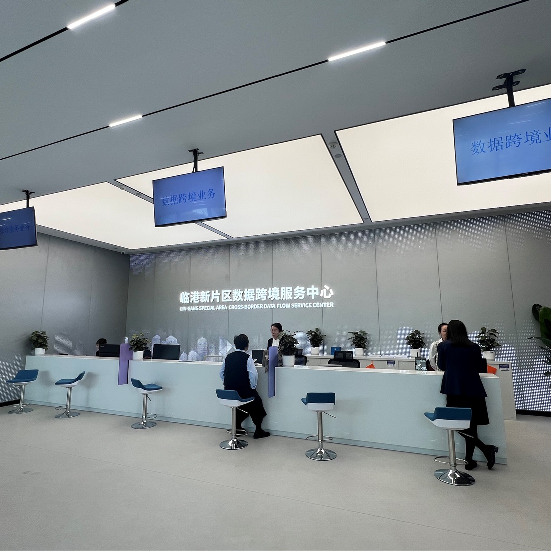 Lingang Data Hub Helps Companies Move Information Across Borders