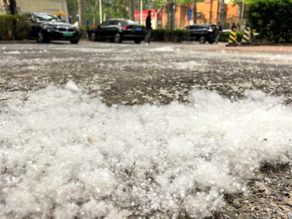 Over-the-Counter Histamines Do Roaring Trade as Spring Allergy Season Begins