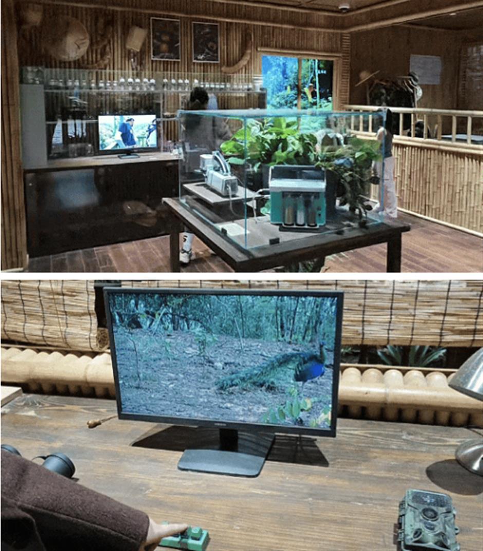 不出上海,也能穿越西双版纳?