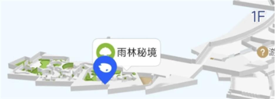 不出上海,也能穿越西双版纳?