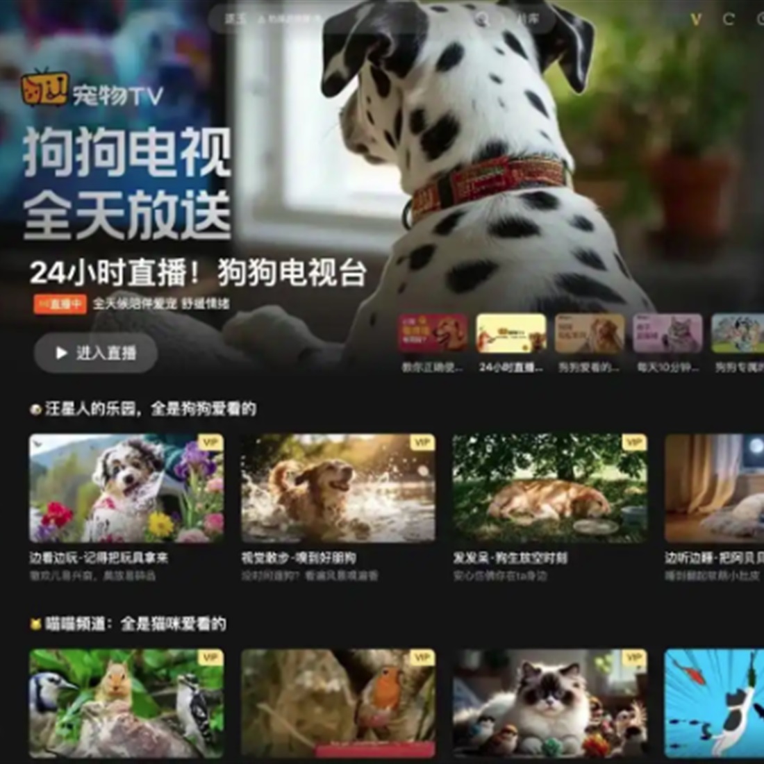 Tencent Launches 24-Hour TV Channel Designed for Pets