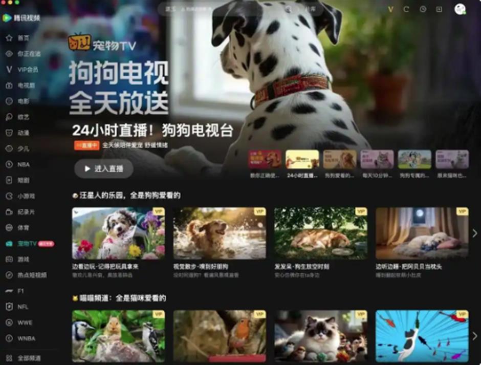 Tencent Launches 24-Hour TV Channel Designed for Pets