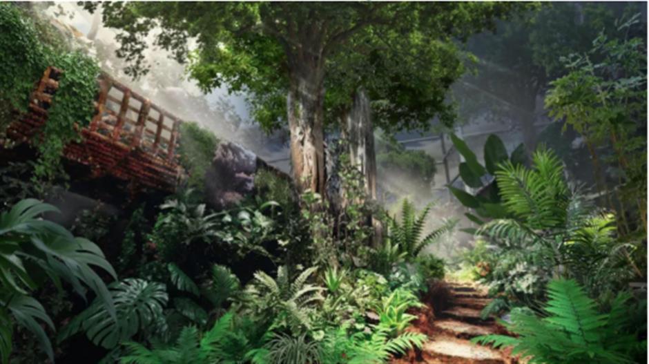 不出上海,也能穿越西双版纳?