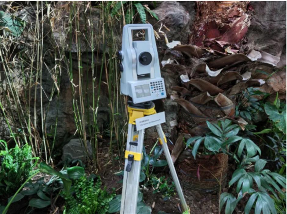 不出上海,也能穿越西双版纳?