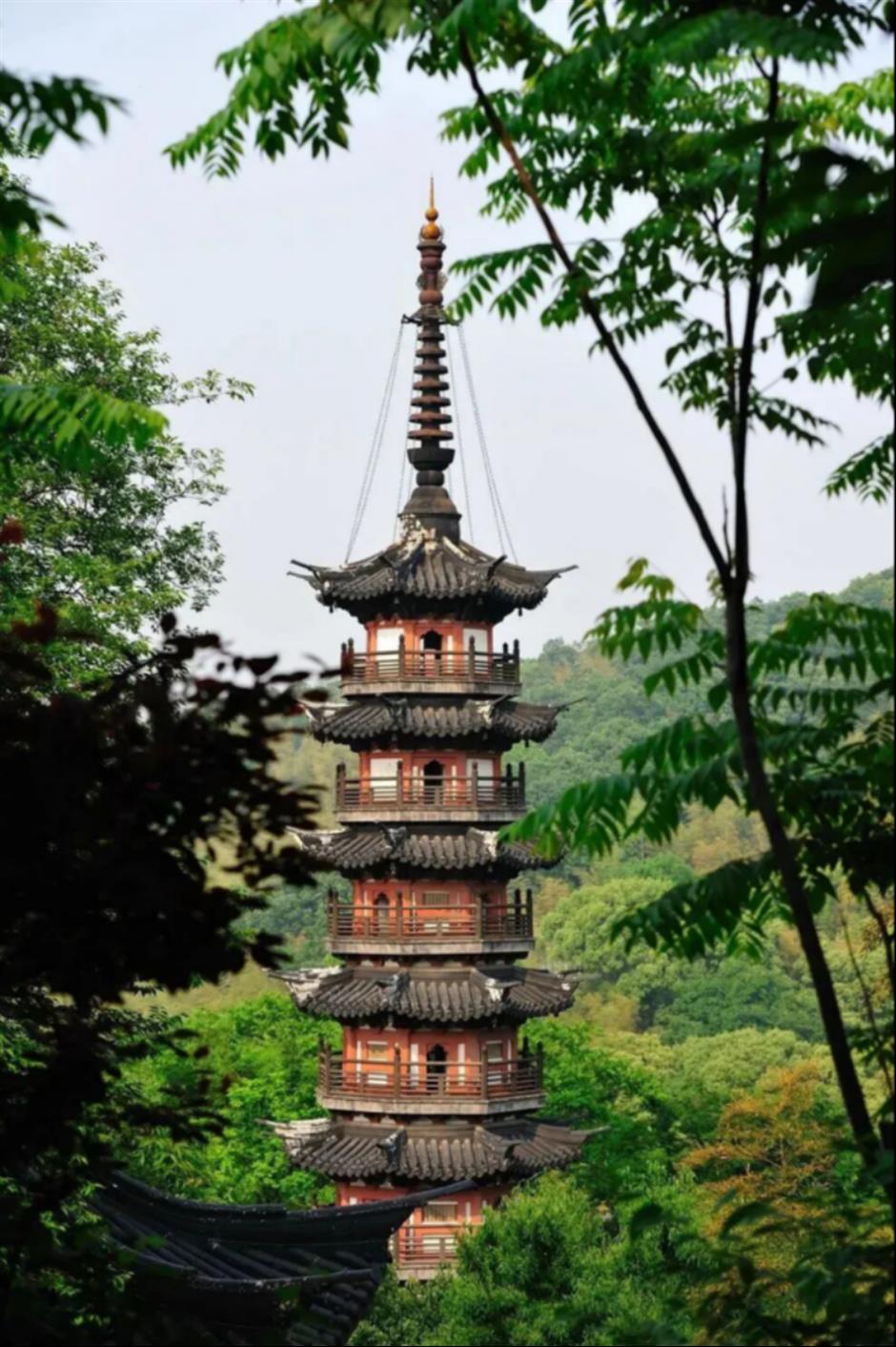 快乐遛娃不重样,松江宝藏线路来了