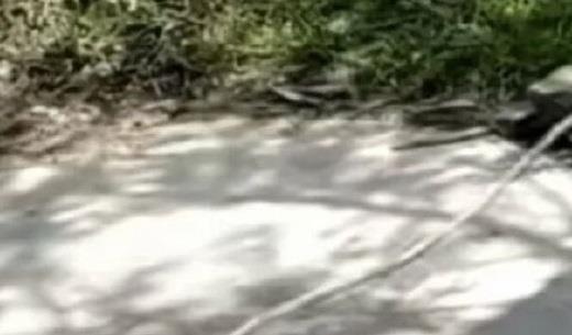 Boy Seriously Injured by Roadside Rope in China, Suspect 'Under Criminal Measures'