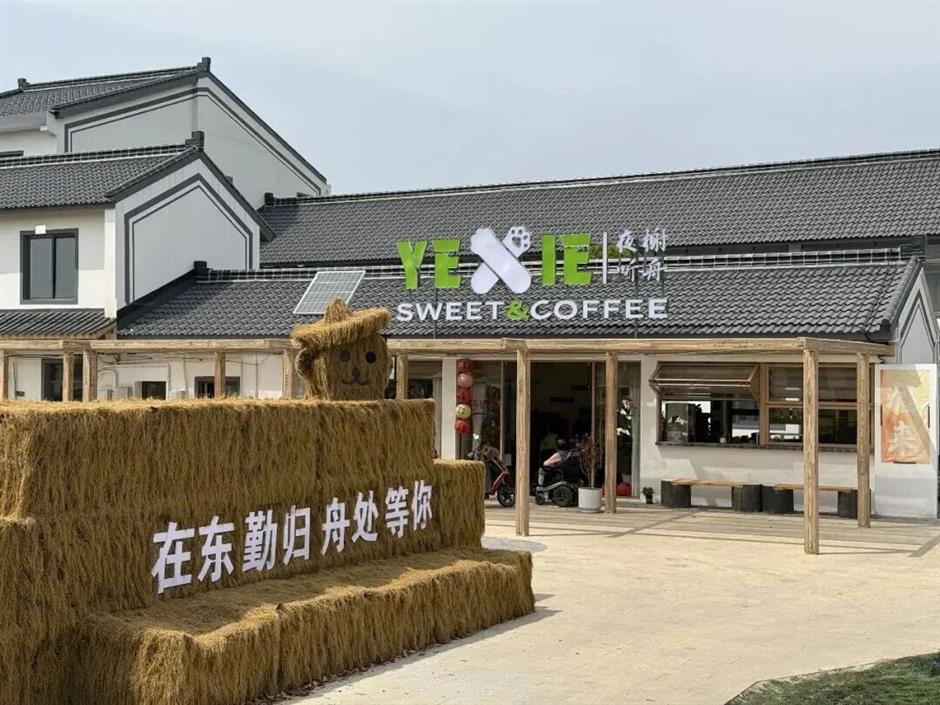 千亩花谷、非遗手作、田园小院,都藏在上海这个小镇!