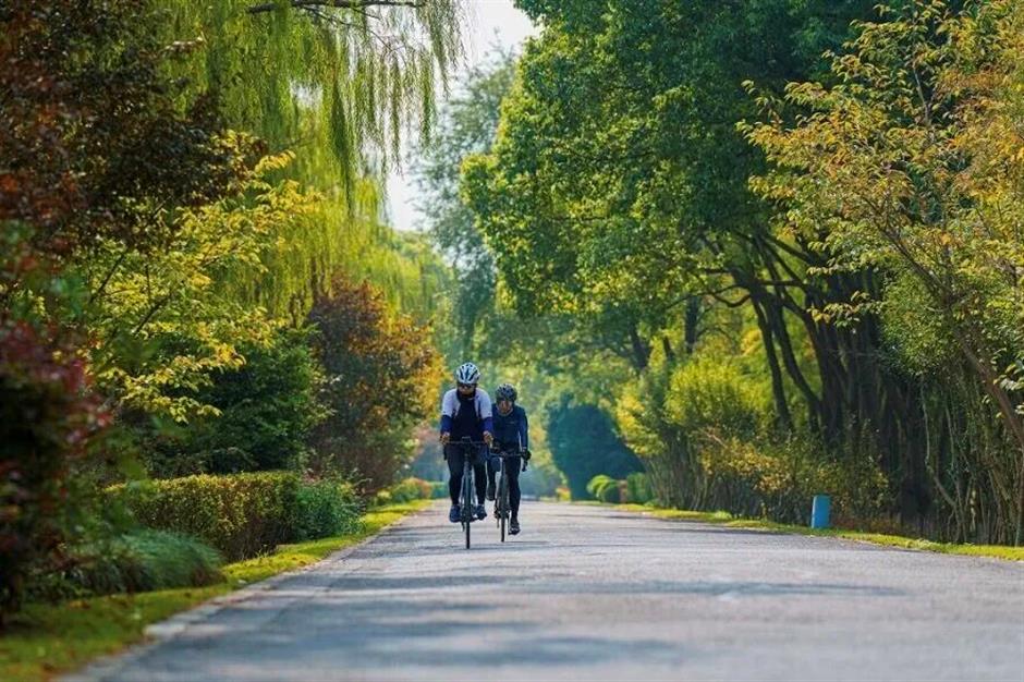 上海这3条骑行线入选全国精品!颜值体验双在线