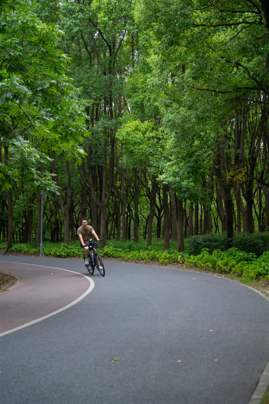 上海这3条骑行线入选全国精品!颜值体验双在线