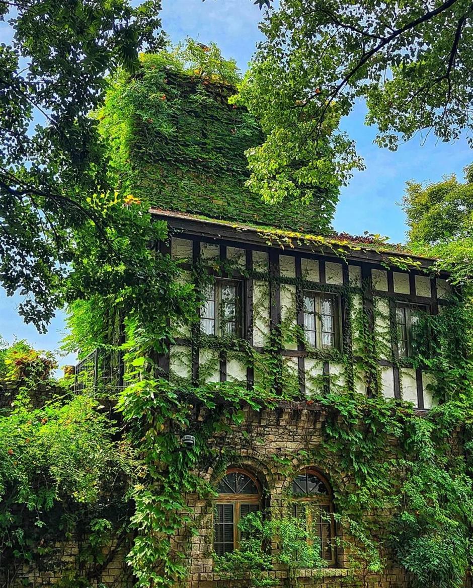 春日Color Walk走起!在沪郊和色彩撞个满怀