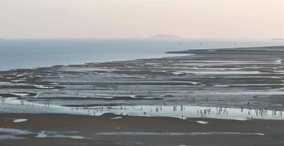 官宣!碧海金沙、渔人码头4月18日同步开园