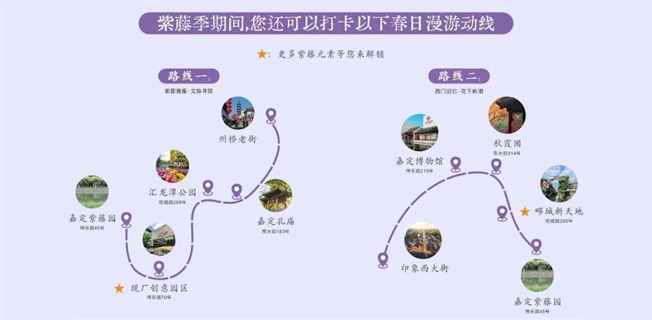 久等了!紫藤秘境上线,本周末进入盛花期!