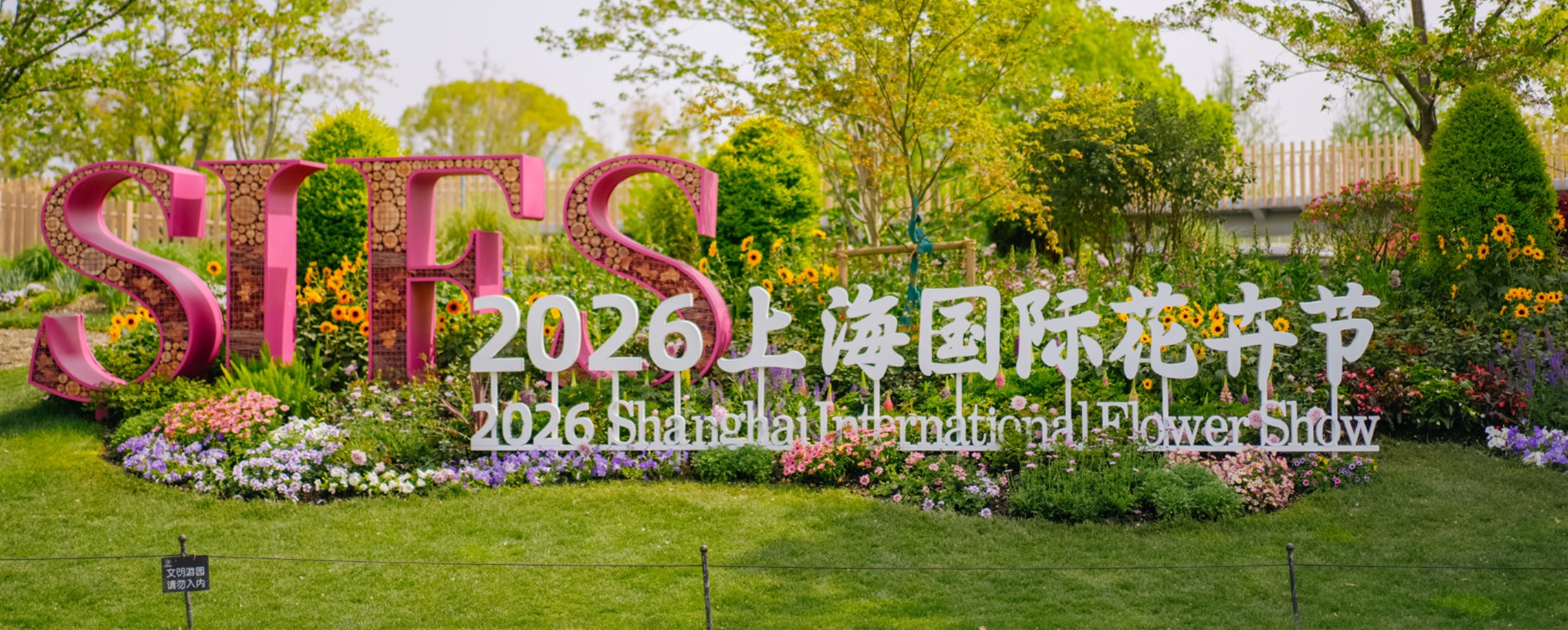 'Sea of Flowers': Shanghai Blooming for International Show
