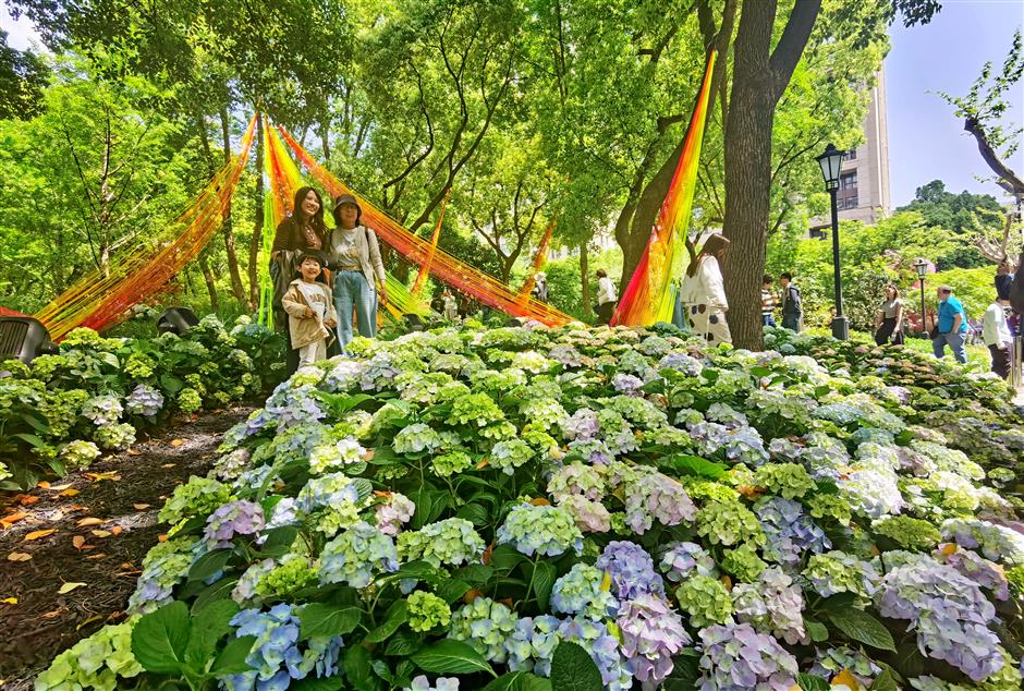 Shanghai in Bloom as Citywide Flower Show Opens