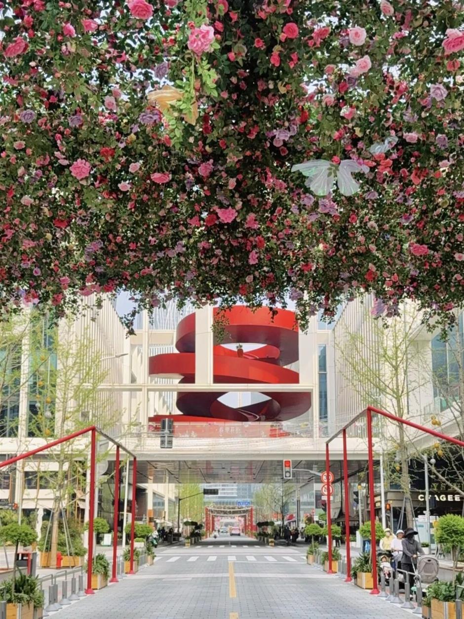 800米花巷+1.5公里绣球花岸!前滩花街刷屏整个春天