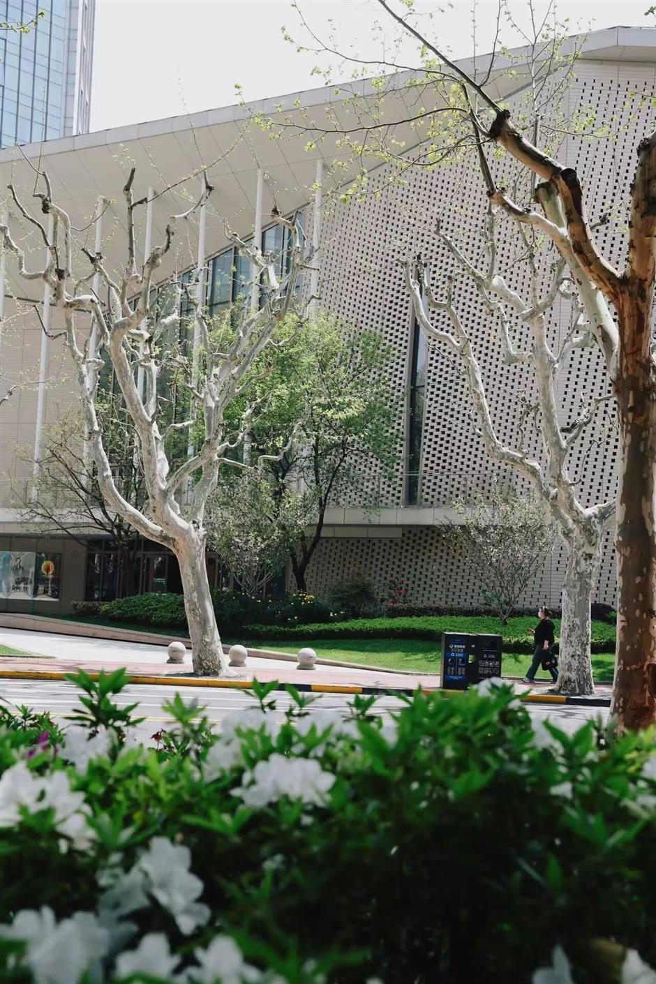 上海500米小马路突然