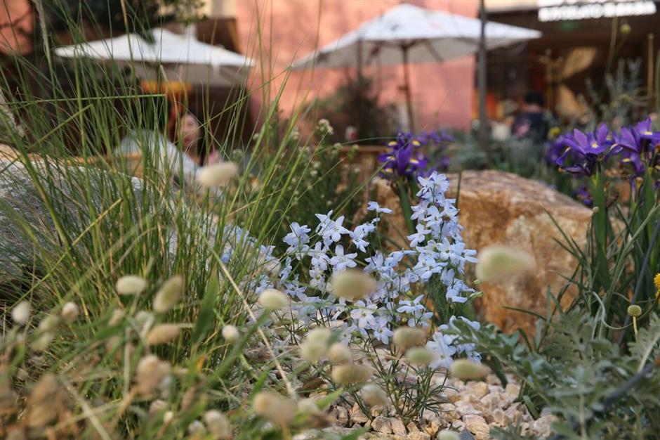 上海500米小马路突然