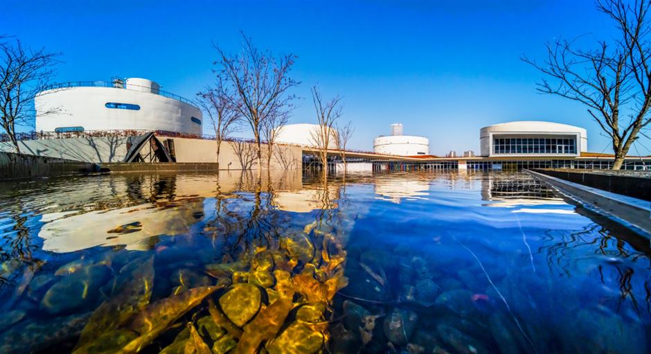 又一工业旅游线路刷屏!徐汇滨江春日散步指南