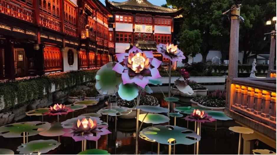 走花路、逛花市、赏演艺!上海春日顶流花会来了