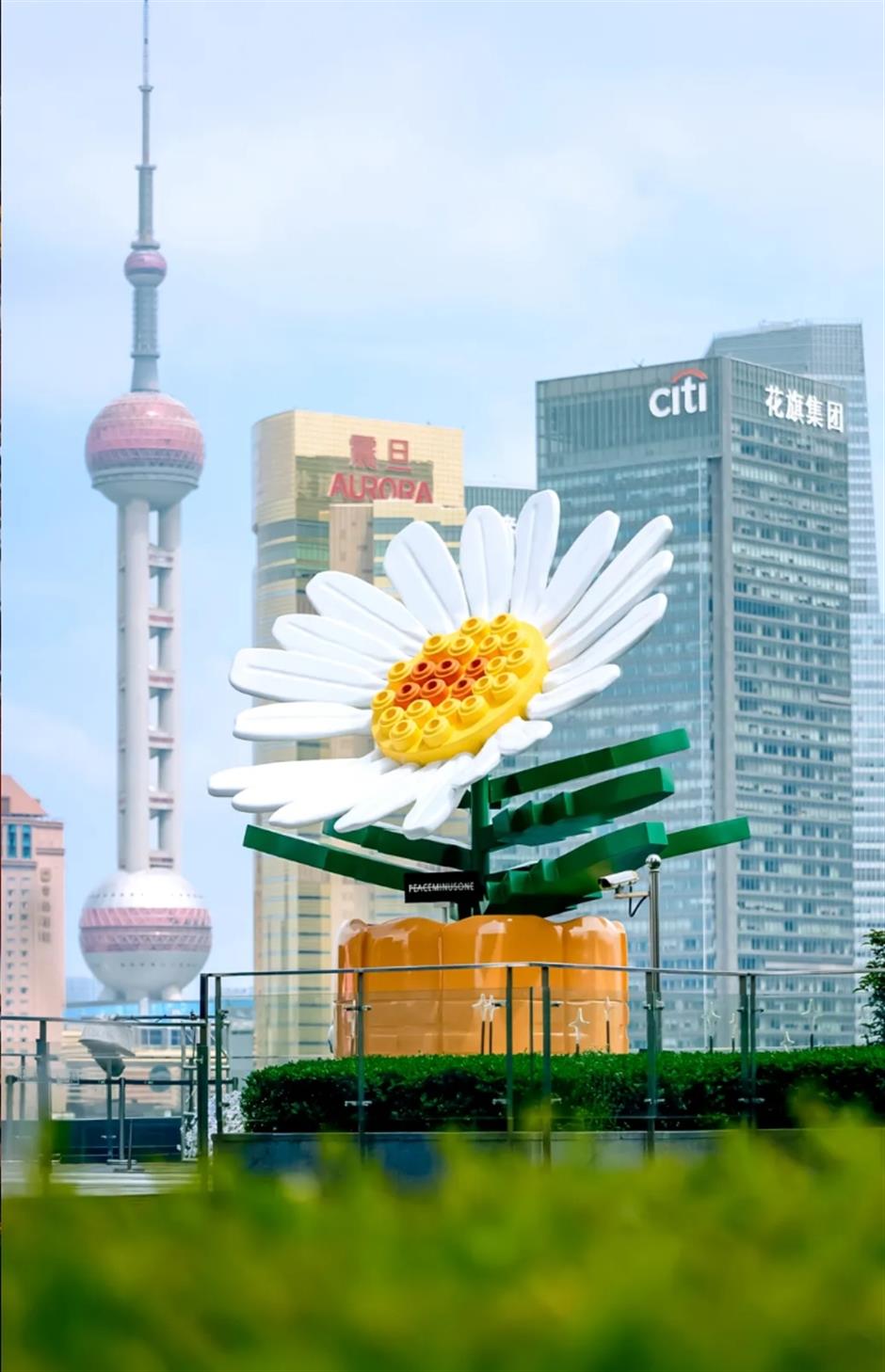 走花路、逛花市、赏演艺!上海春日顶流花会来了