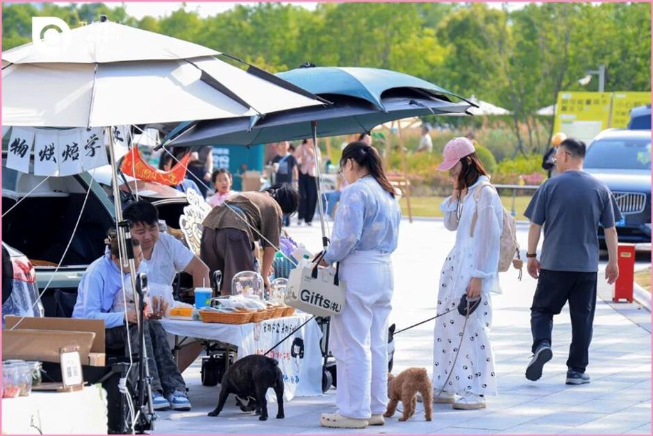 Bring Your Pets to the Furry Friends Festival
