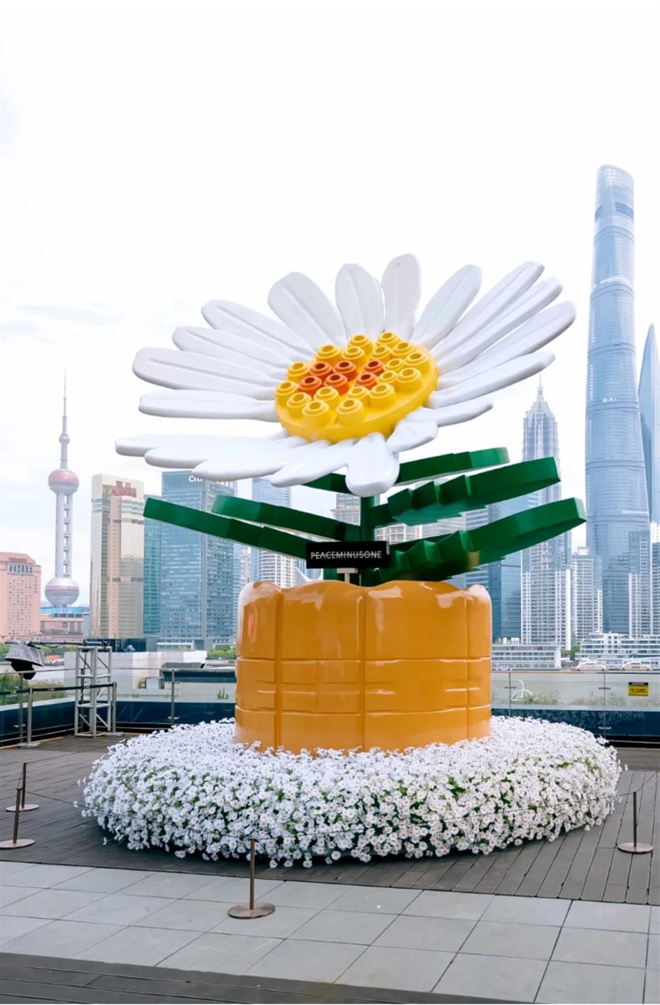 走花路、逛花市、赏演艺!上海春日顶流花会来了