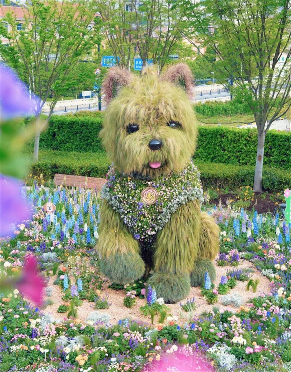 最近上海的草坪也太热闹了吧