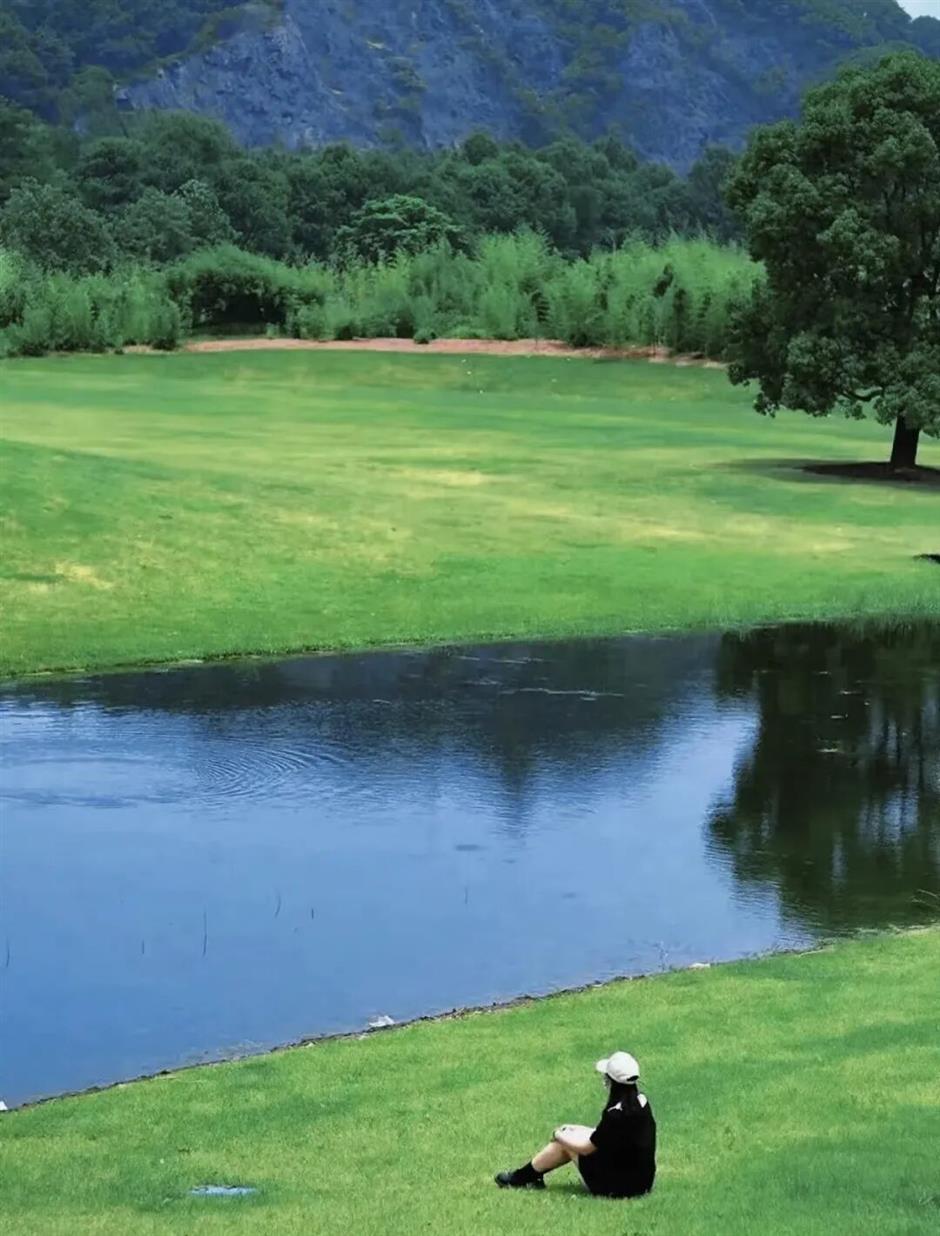 最近上海的草坪也太热闹了吧