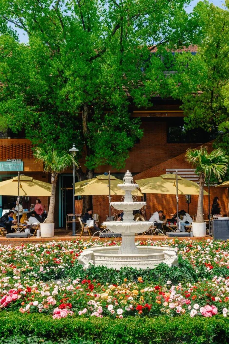 满城花海!上海竟把绝美春天搬进各大商场