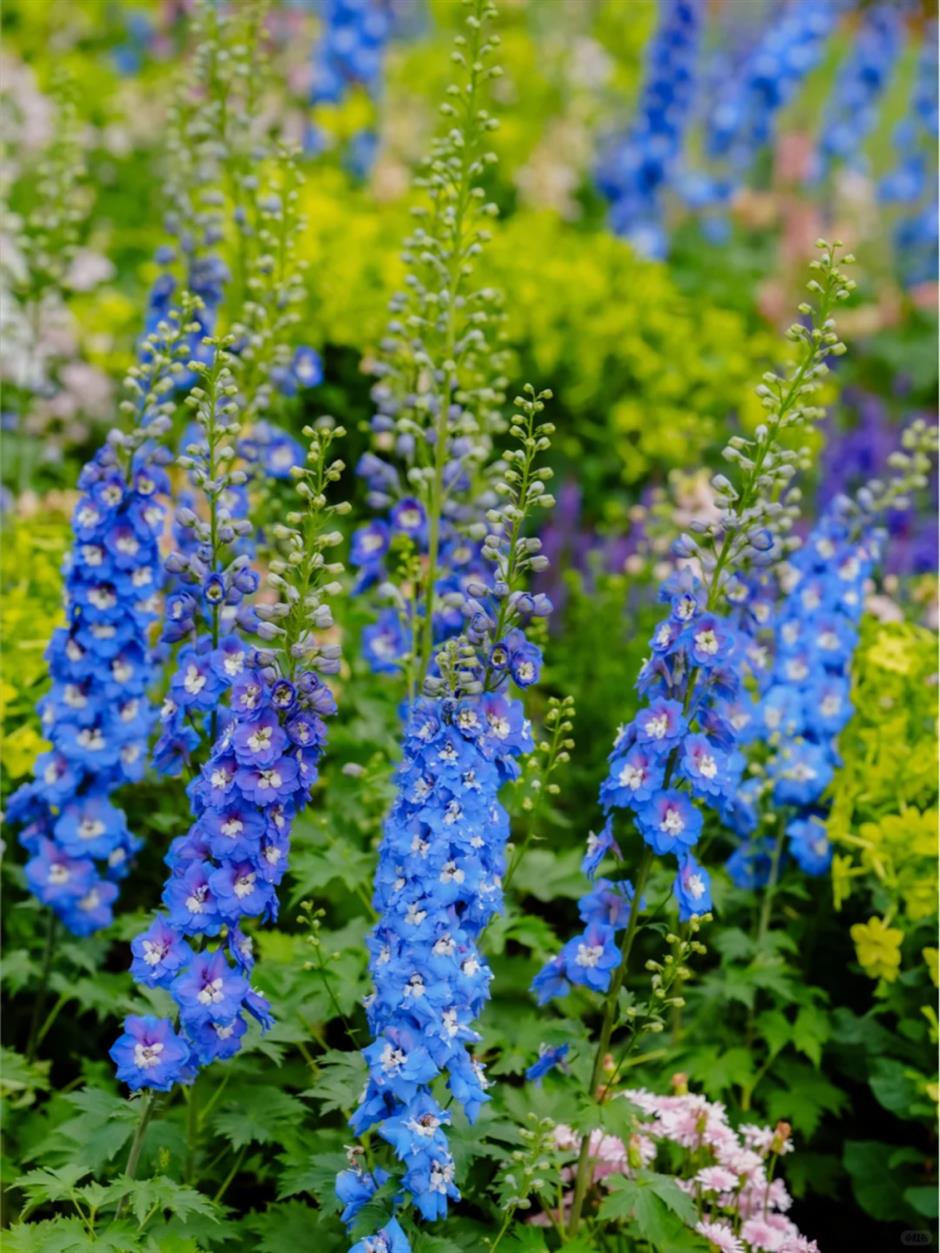 满城花海!上海竟把绝美春天搬进各大商场