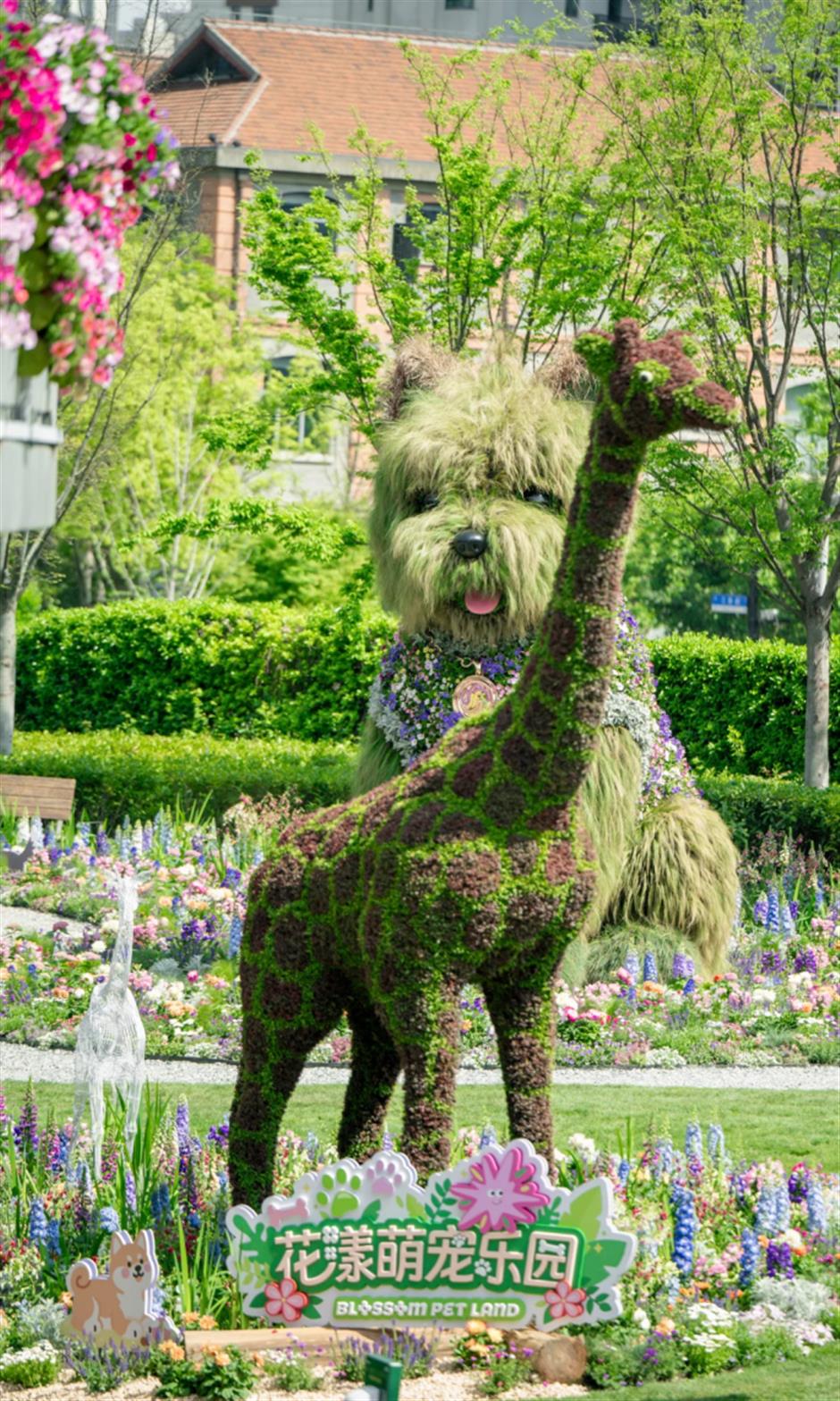 满城花海!上海竟把绝美春天搬进各大商场