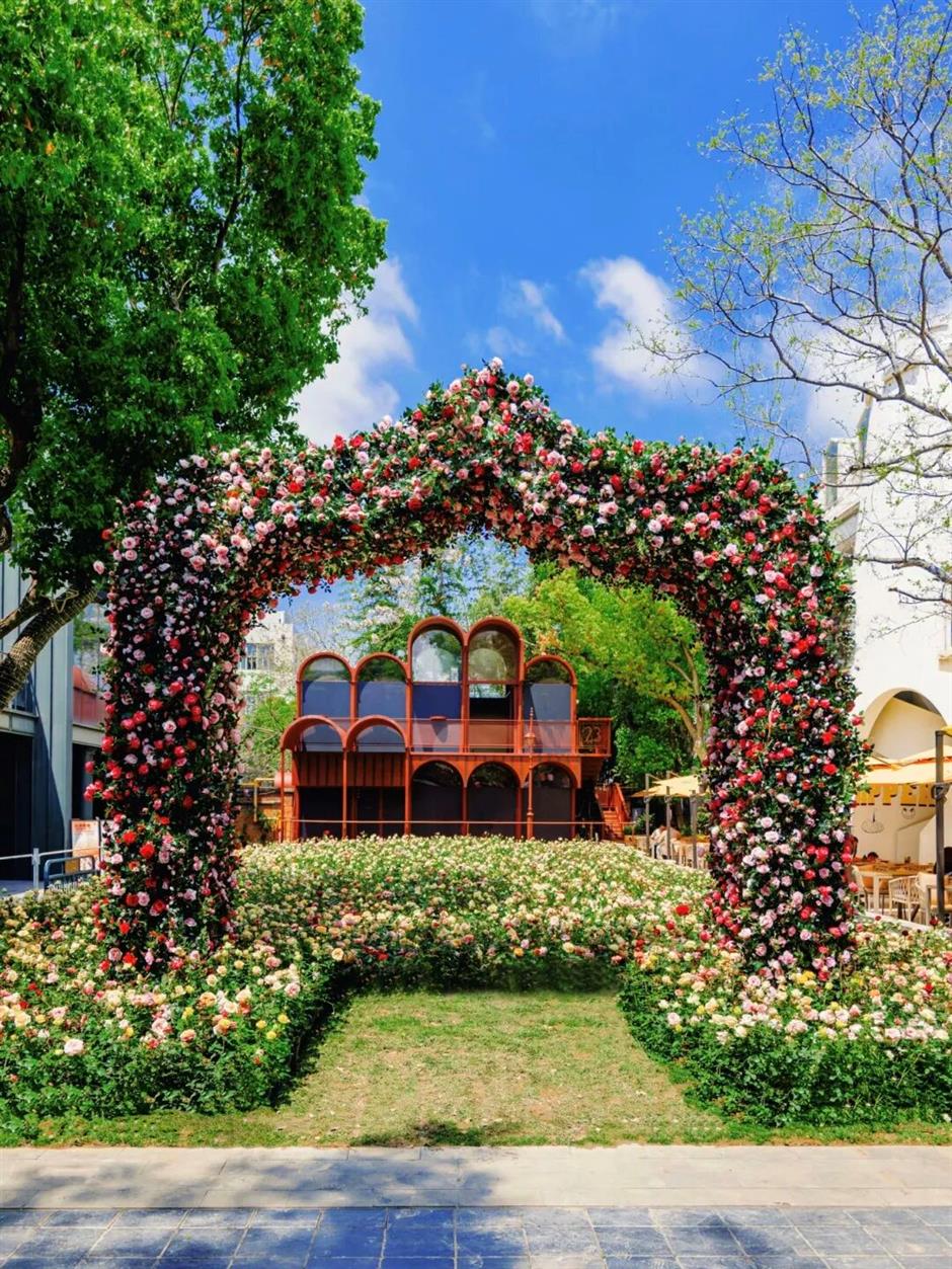 满城花海!上海竟把绝美春天搬进各大商场