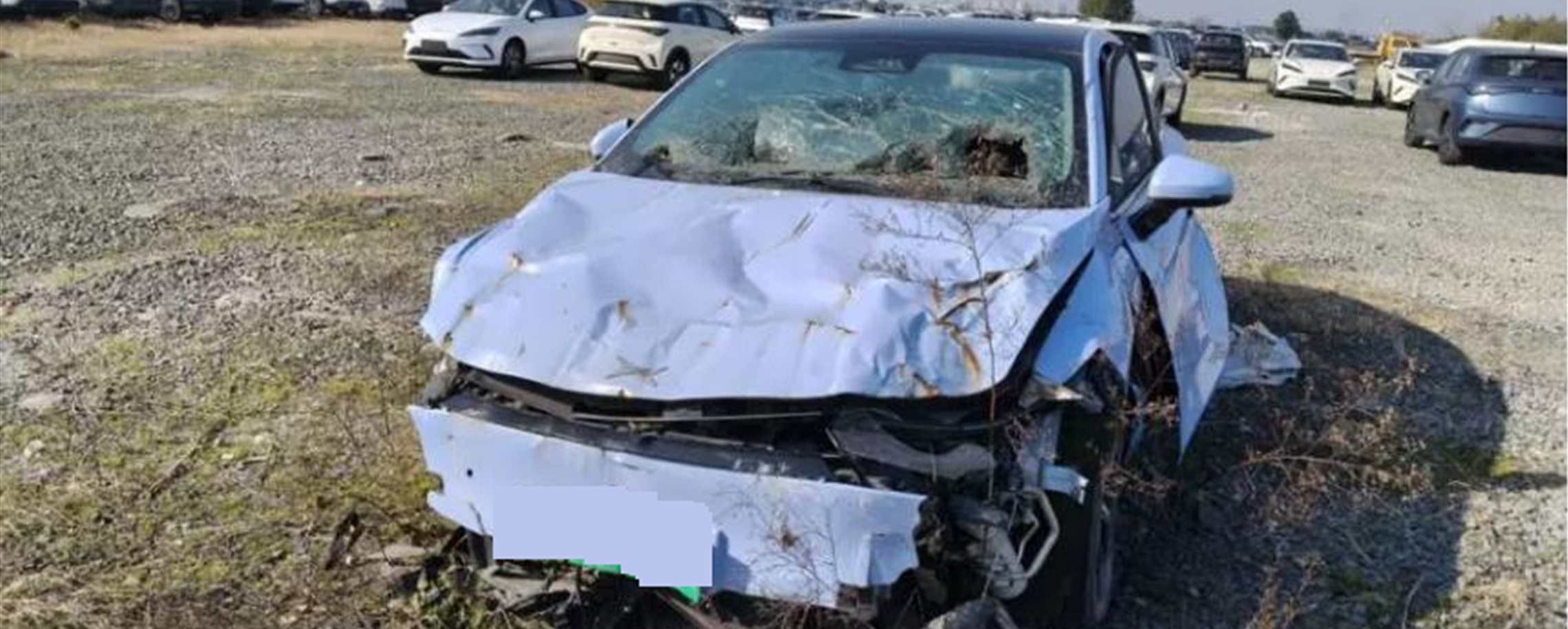 Wrecked EV From Fatal Crash Sells for Four Times Starting Price at Court Auction