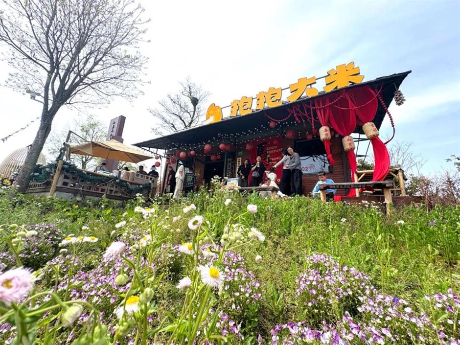 踏青正当时,来解锁这些小众野趣郊游地!