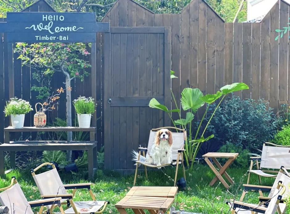 踏青正当时,来解锁这些小众野趣郊游地!