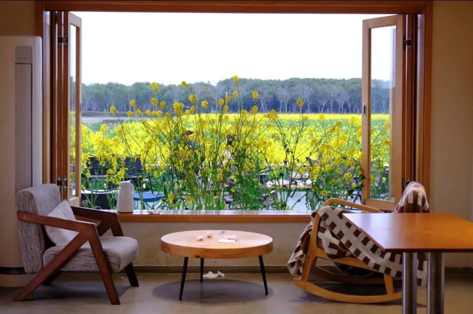 踏青正当时,来解锁这些小众野趣郊游地!