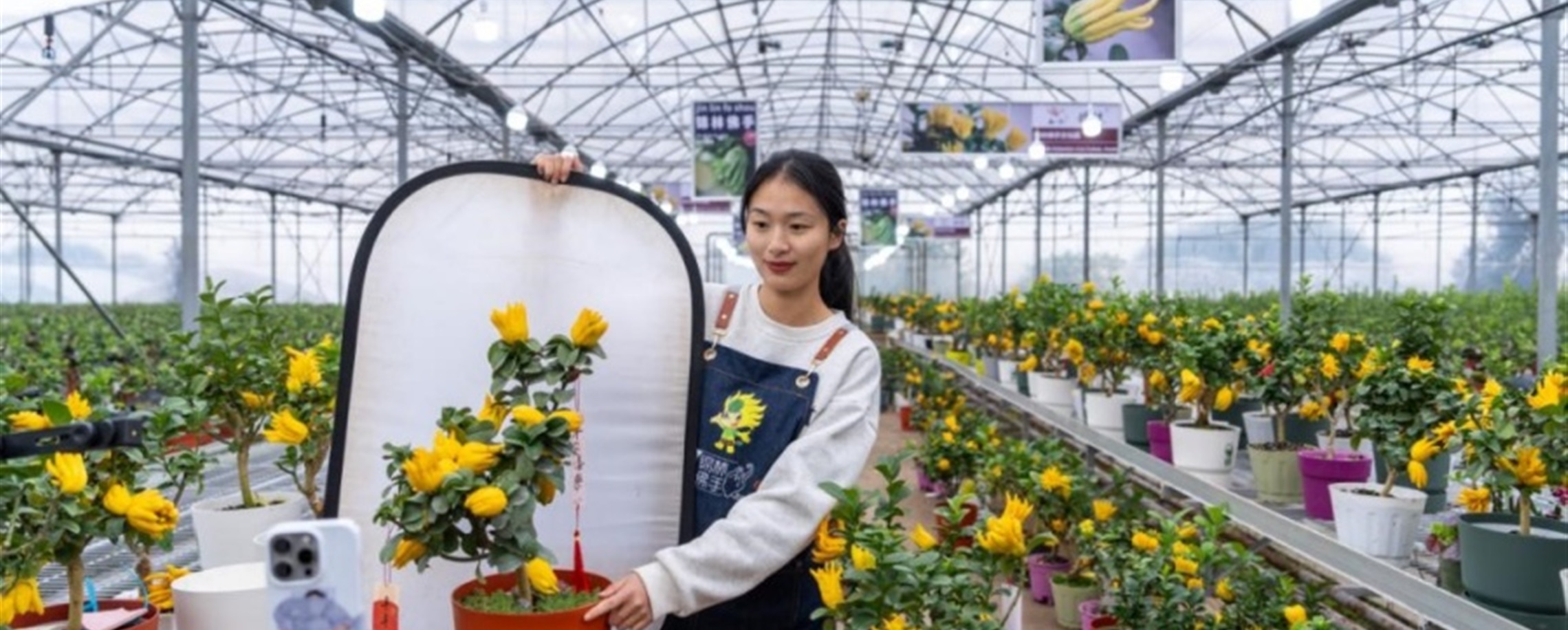 Striving, not sinking: The hidden vitality of China's youth in transition