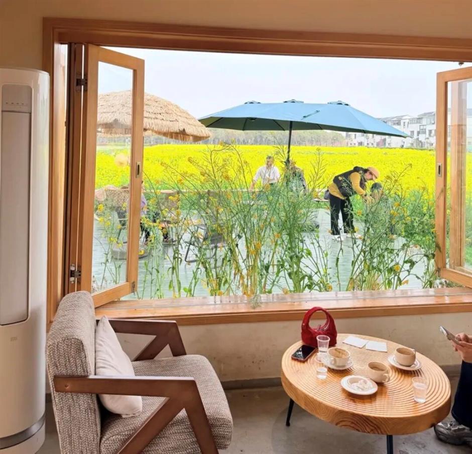 踏青正当时,来解锁这些小众野趣郊游地!