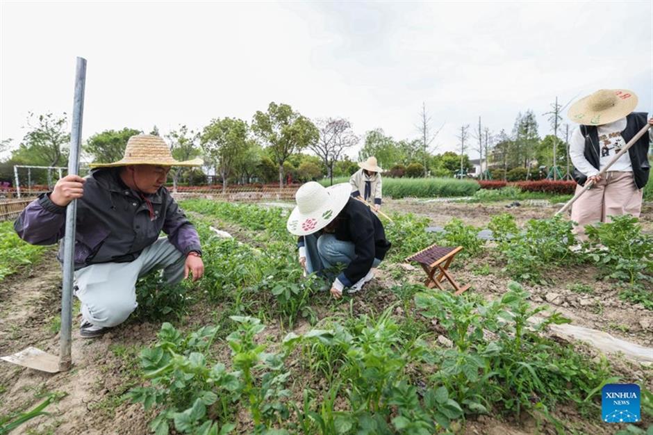 Striving, not sinking: The hidden vitality of China's youth in transition