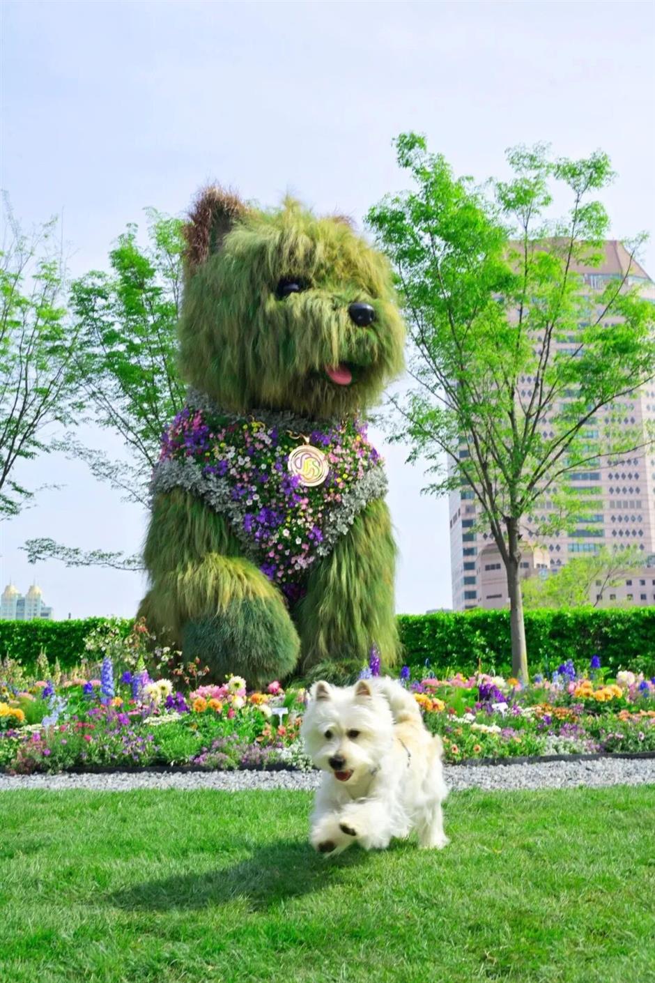 5000㎡花海+5.2米超大