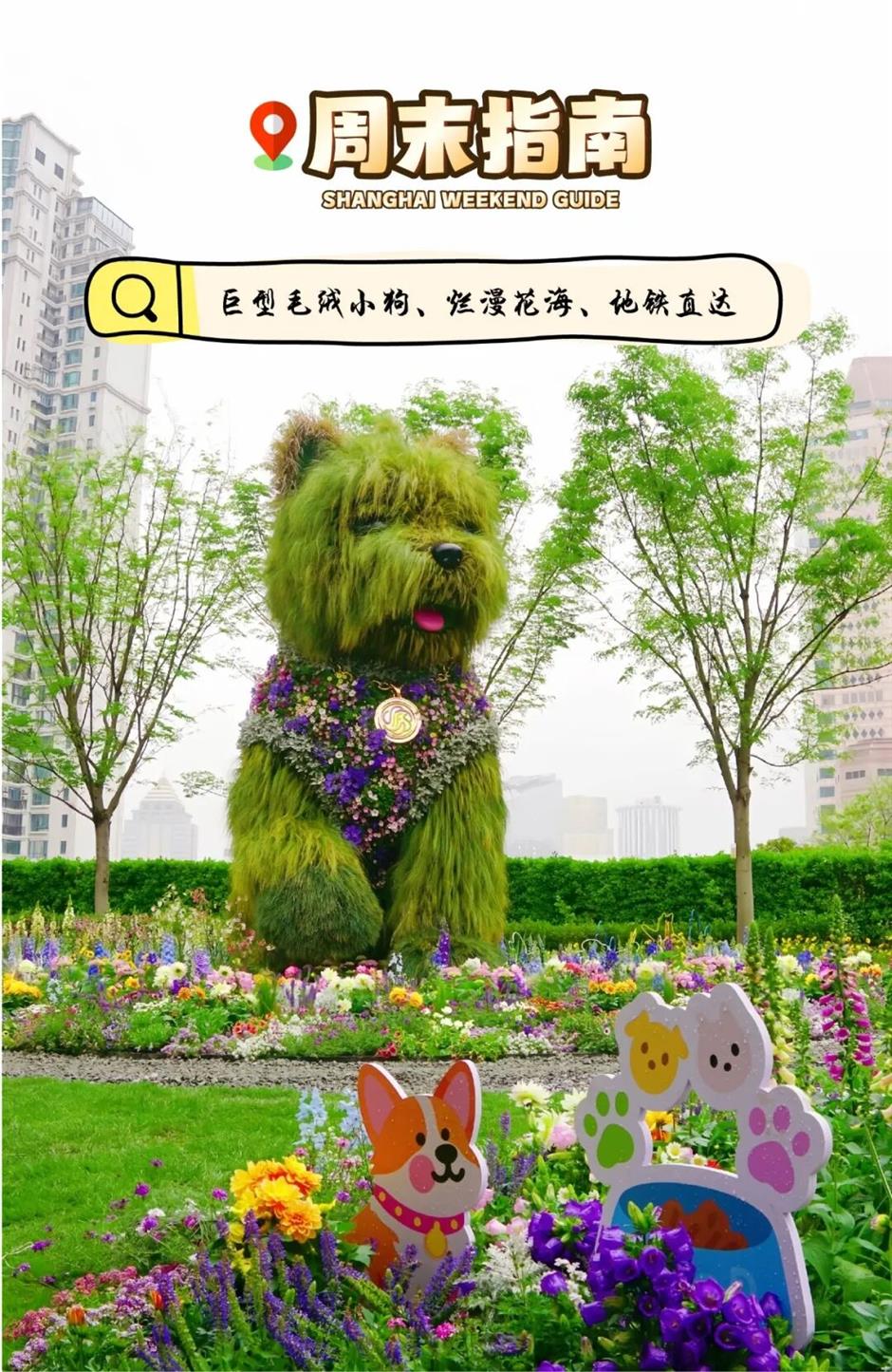 5000㎡花海+5.2米超大