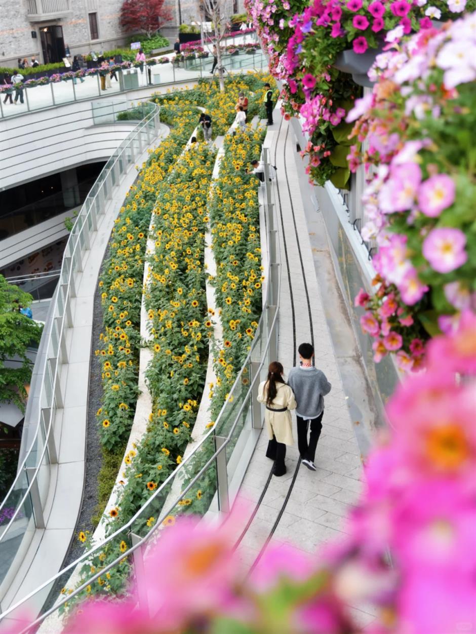 5000㎡花海+5.2米超大