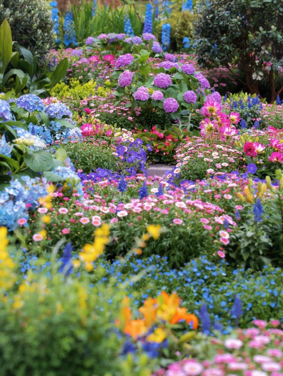 5000㎡花海+5.2米超大